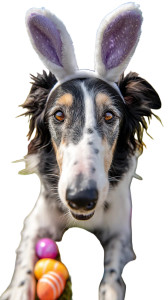 Easter Borzoi Vinyl Car Decal Sticker – Waterproof & UV-Resistant 8"