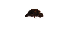 Reflective Tree Silhouette Vinyl Car Decal Sticker – Waterproof & UV-Resistant 8" Reflective Tree Silhouette Vinyl Car Decal Sticker – Waterproof & UV-Resistant 8"