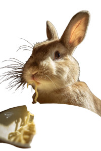 Bunny Eating Pasta Vinyl Car Decal Sticker – Waterproof & UV-Resistant 8"