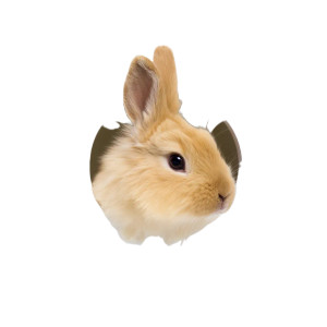 Bunny In Hole Vinyl Car Decal Sticker – Waterproof & UV-Resistant 8"