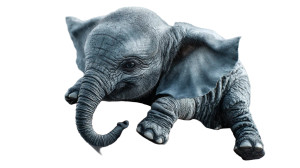 Tiny Elephant Resting Vinyl Car Decal Sticker – Waterproof & UV-Resistant 8"