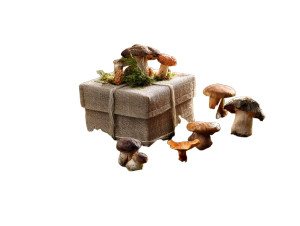 Fallen Tree Gift Vinyl Car Decal Sticker – Waterproof & UV-Resistant 8"