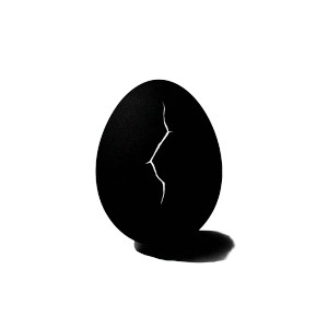Cracked Egg Shadow Vinyl Car Decal Sticker – Waterproof & UV-Resistant 8"