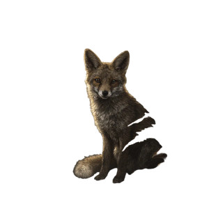Misty Forest Fox Vinyl Car Decal Sticker – Waterproof & UV-Resistant 8" Misty Forest Fox Vinyl Car Decal Sticker – Waterproof & UV-Resistant 8"