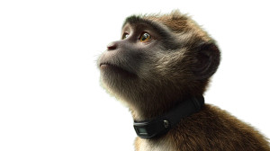 Monkey With Collar Vinyl Car Decal Sticker – Waterproof & UV-Resistant 8"