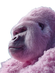 Purple Cotton Candy Gorilla Vinyl Car Decal Sticker – Waterproof & UV-Resistant 8"