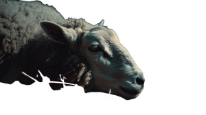 Slain Lamb Eden Vinyl Car Decal Sticker – Waterproof & UV-Resistant 8"