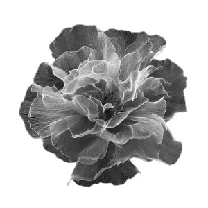 Peony Flower Veins Vinyl Car Decal Sticker – Waterproof & UV-Resistant 8"