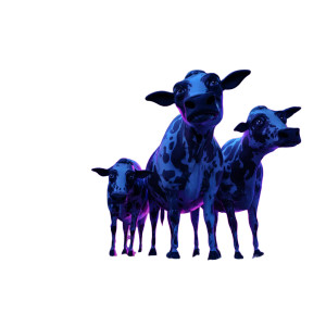 Animated Cows Poster Vinyl Car Decal Sticker – Waterproof & UV-Resistant 8"