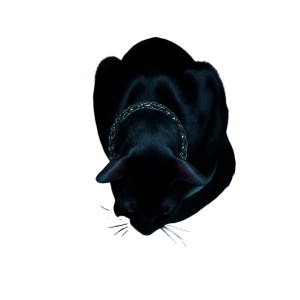 Sleek Black Cat Vinyl Car Decal Sticker – Waterproof & UV-Resistant 8"