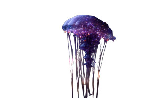 Night Sky Jelly Vinyl Car Decal Sticker – Waterproof & UV-Resistant 8"