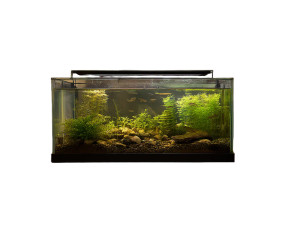 Rectangular Fish Tank Vinyl Car Decal Sticker – Waterproof & UV-Resistant 8"