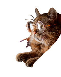 Typing Cat With Glasses Vinyl Car Decal Sticker – Waterproof & UV-Resistant 8"