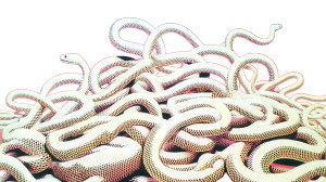 Snake Chaos Pile Vinyl Car Decal Sticker – Waterproof & UV-Resistant 8"