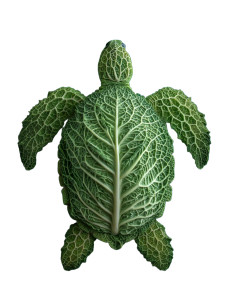 Turtle Lettuce Vinyl Car Decal Sticker – Waterproof & UV-Resistant 8"