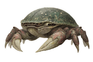 Alien Bestiary Creature Vinyl Car Decal Sticker – Waterproof & UV-Resistant 8"