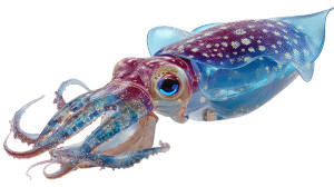 Glowing Magical Squid Vinyl Car Decal Sticker – Waterproof & UV-Resistant 8"