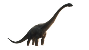 Brontosaurus In Wild Vinyl Car Decal Sticker – Waterproof & UV-Resistant 8"