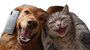 Dog And Cat With Phone Vinyl Car Decal Sticker – Waterproof & UV-Resistant 8"