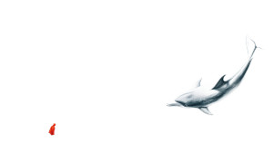 Dreamlike Dolphin Vinyl Car Decal Sticker – Waterproof & UV-Resistant 8" Dreamlike Dolphin Vinyl Car Decal Sticker – Waterproof & UV-Resistant 8"