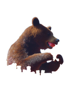 Bear Eating Gummies Vinyl Car Decal Sticker – Waterproof & UV-Resistant 8"