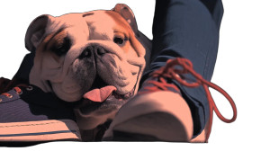 Happy Bulldog Resting Vinyl Car Decal Sticker – Waterproof & UV-Resistant 8"
