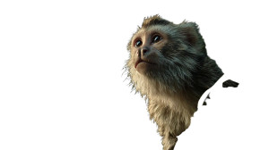 Capuchin Monkey Vinyl Car Decal Sticker – Waterproof & UV-Resistant 8"