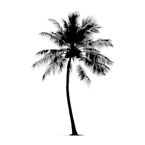 Palm Tree Silhouette V2 Vinyl Car Decal Sticker – Waterproof & UV-Resistant 8" Palm Tree Silhouette V2 Vinyl Car Decal Sticker – Waterproof & UV-Resistant 8"