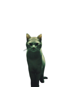 Street Thug Cats Vinyl Car Decal Sticker – Waterproof & UV-Resistant 8"