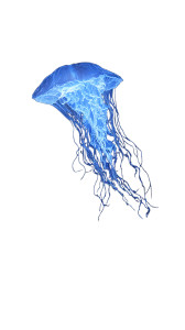 Giant Translucent Jellyfish V2 Vinyl Car Decal Sticker – Waterproof & UV-Resistant 8"