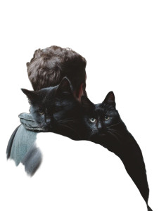 Man With Cats Vinyl Car Decal Sticker – Waterproof & UV-Resistant 8"