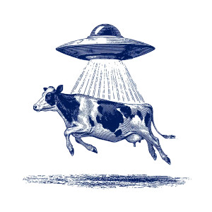 Cow Abducted By Ufo V2 Vinyl Car Decal Sticker – Waterproof & UV-Resistant 8"