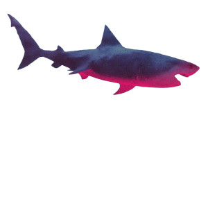 Neon Pink Shark Vinyl Car Decal Sticker – Waterproof & UV-Resistant 8"