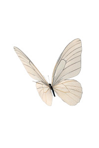 Disentangled Butterfly Vinyl Car Decal Sticker – Waterproof & UV-Resistant 8"