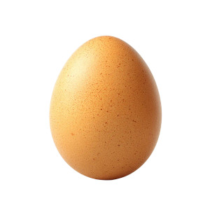 Egg On White Vinyl Car Decal Sticker – Waterproof & UV-Resistant 8"