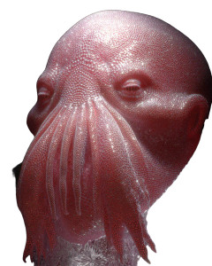 Unsettling Professor Zoidberg Vinyl Car Decal Sticker – Waterproof & UV-Resistant 8"