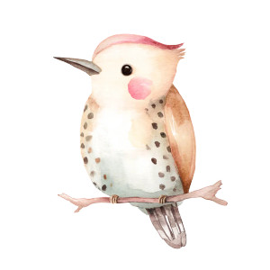 Smiling Woodpecker Illustration Vinyl Car Decal Sticker – Waterproof & UV-Resistant 8"