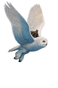 Mysterious Cosmic Rider Vinyl Car Decal Sticker – Waterproof & UV-Resistant 8"