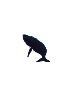 Rotten Zombie Whale Vinyl Car Decal Sticker – Waterproof & UV-Resistant 8"