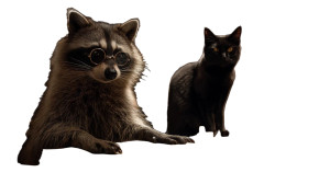 Magical Raccoon Scholar V2 Vinyl Car Decal Sticker – Waterproof & UV-Resistant 8" Magical Raccoon Scholar V2 Vinyl Car Decal Sticker – Waterproof & UV-Resistant 8"