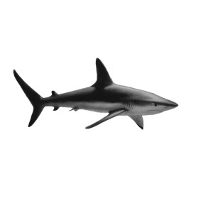 Shark Sketch Vinyl Car Decal Sticker – Waterproof & UV-Resistant 8"