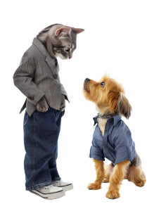 Dapper Cat And Dog Vinyl Car Decal Sticker – Waterproof & UV-Resistant 8" Dapper Cat And Dog Vinyl Car Decal Sticker – Waterproof & UV-Resistant 8"