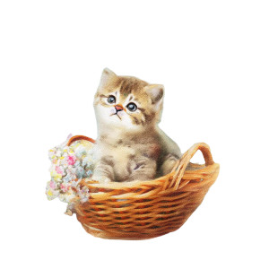 Cute Kitten Basket Vinyl Car Decal Sticker – Waterproof & UV-Resistant 8" Cute Kitten Basket Vinyl Car Decal Sticker – Waterproof & UV-Resistant 8"