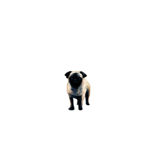 Minimalist Pug Painting Vinyl Car Decal Sticker – Waterproof & UV-Resistant 8" Minimalist Pug Painting Vinyl Car Decal Sticker – Waterproof & UV-Resistant 8"