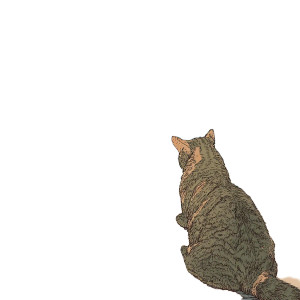 Tabby Cat Computing Vinyl Car Decal Sticker – Waterproof & UV-Resistant 8"