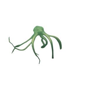 Lovecraftian Nightmare Creature Vinyl Car Decal Sticker – Waterproof & UV-Resistant 8"