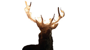 Flaming Antlers Deer Vinyl Car Decal Sticker – Waterproof & UV-Resistant 8" Flaming Antlers Deer Vinyl Car Decal Sticker – Waterproof & UV-Resistant 8"