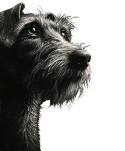 A Dog V6 Vinyl Car Decal Sticker – Waterproof & UV-Resistant 8"