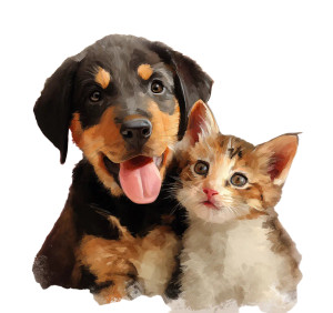 Cute Puppy Kitten V2 Vinyl Car Decal Sticker – Waterproof & UV-Resistant 8"