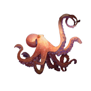 Giant Octopus Illustration Vinyl Car Decal Sticker – Waterproof & UV-Resistant 8"